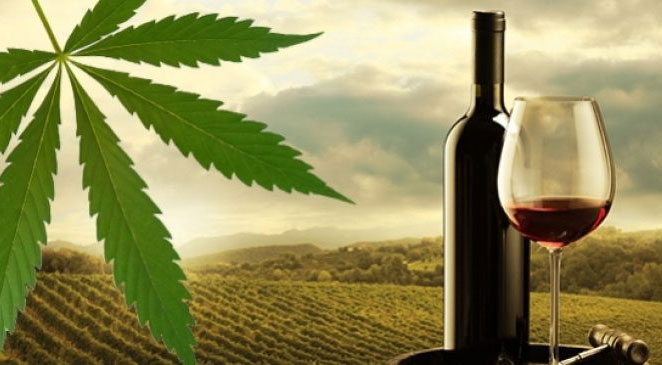 vino-marihuana