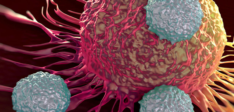 cancer_celula