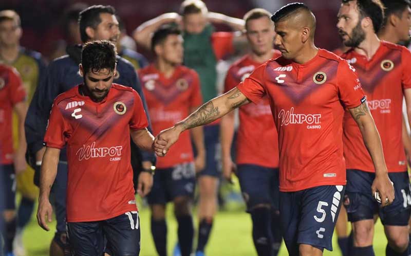 tiburones-rojos