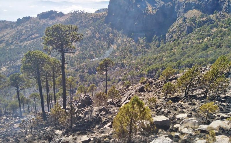 incendio_cofre-de-perote