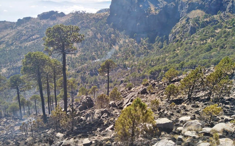incendio_cofre-de-perote