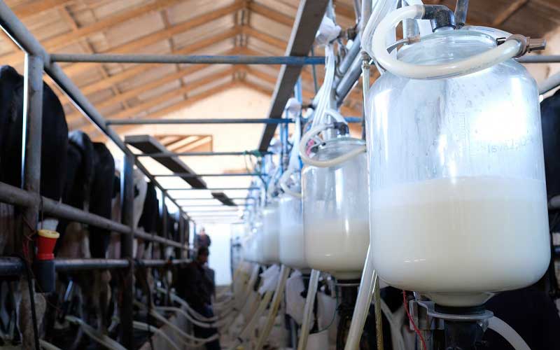 leche_mexico