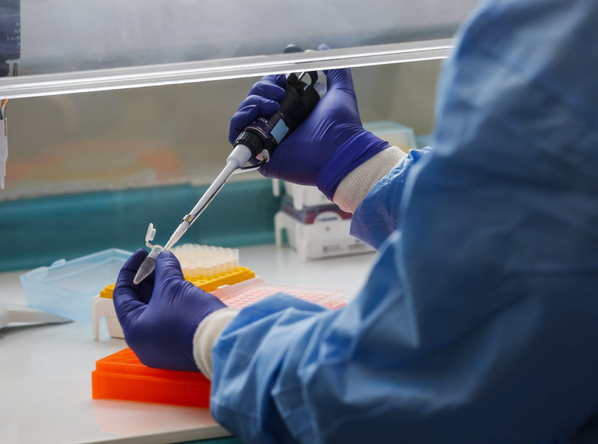 estudo-coronavirus-868x644