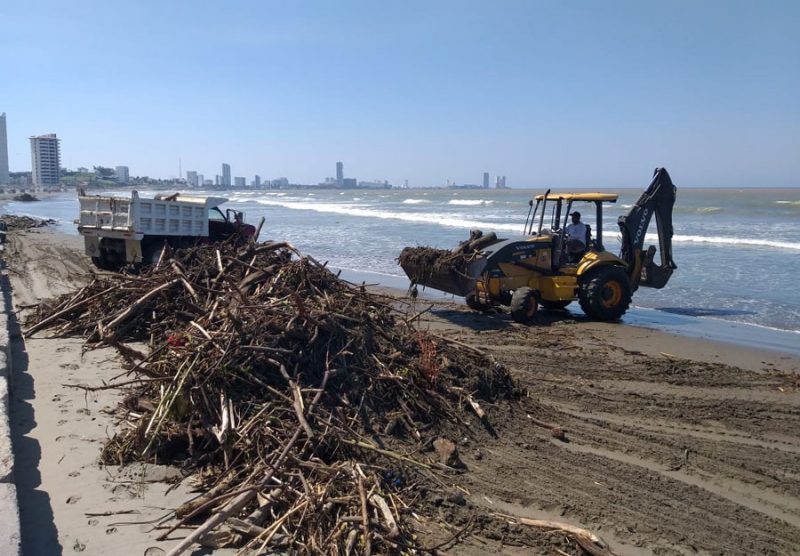 Limpian playas de Boca del Río por presencia de palizada