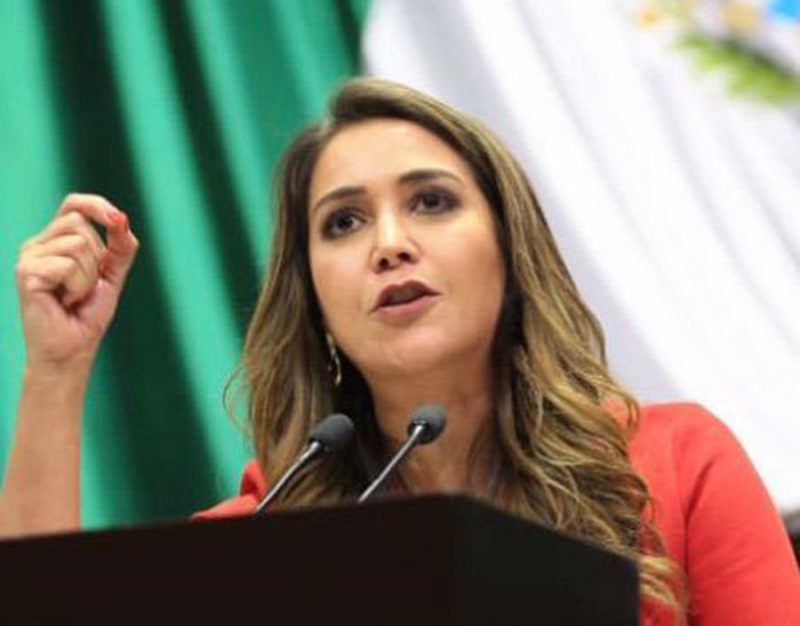 Urge garantizar las inversiones en México: Anilú Ingram