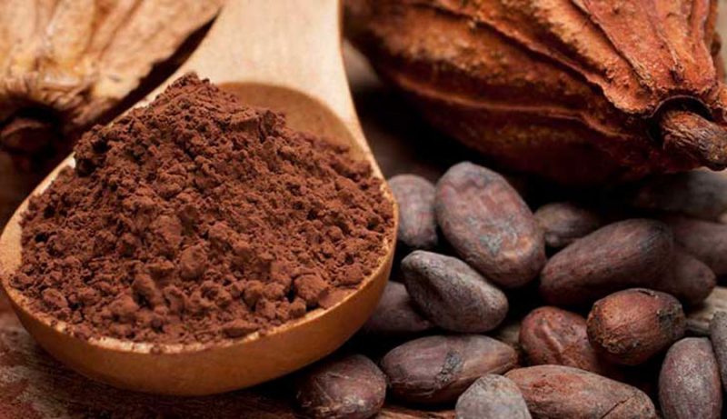 México aporta el 2 por ciento del cacao a nivel mundial