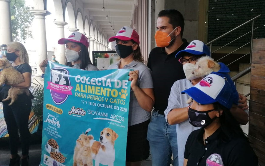 asoc_mascotas