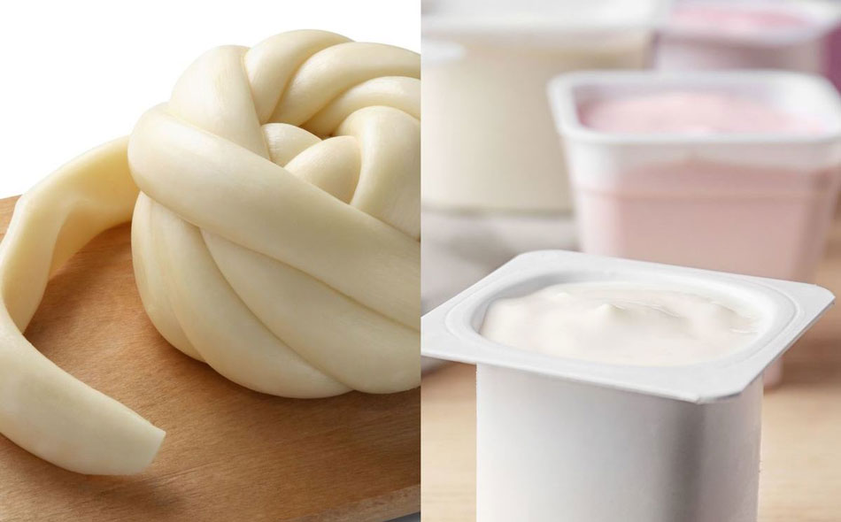 queso_yogurt