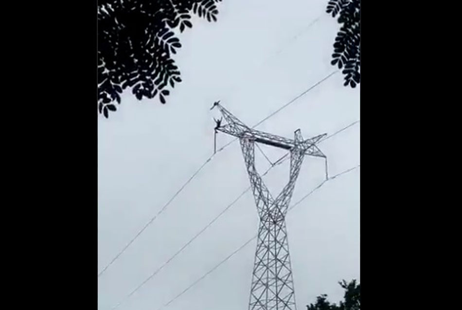 electrocutado_medellin