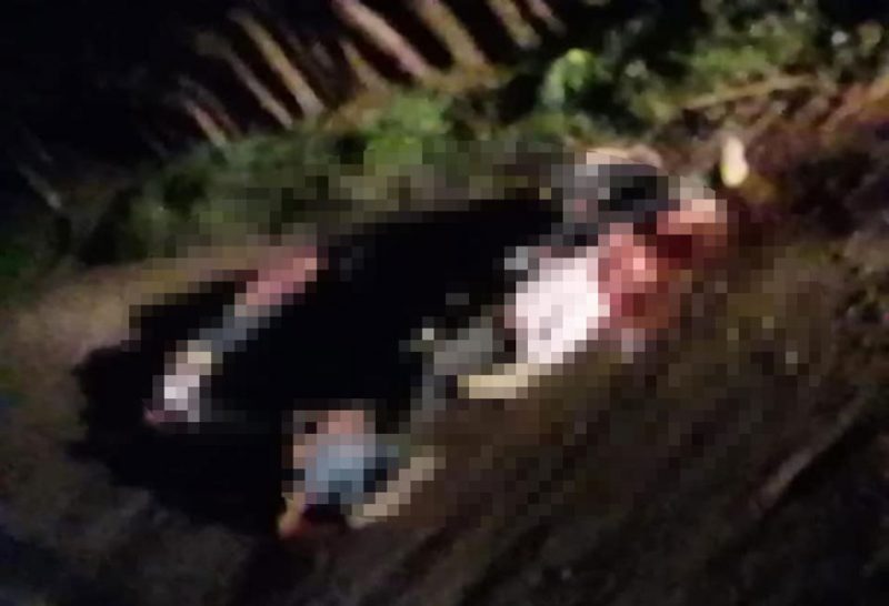 choapas_muertos