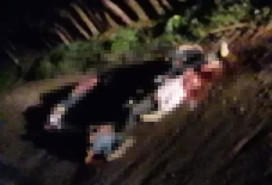 choapas_muertos