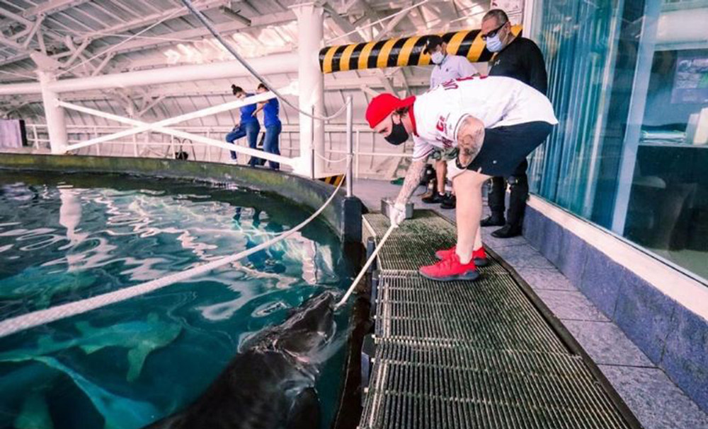 acuario_veracruz_trabajadores