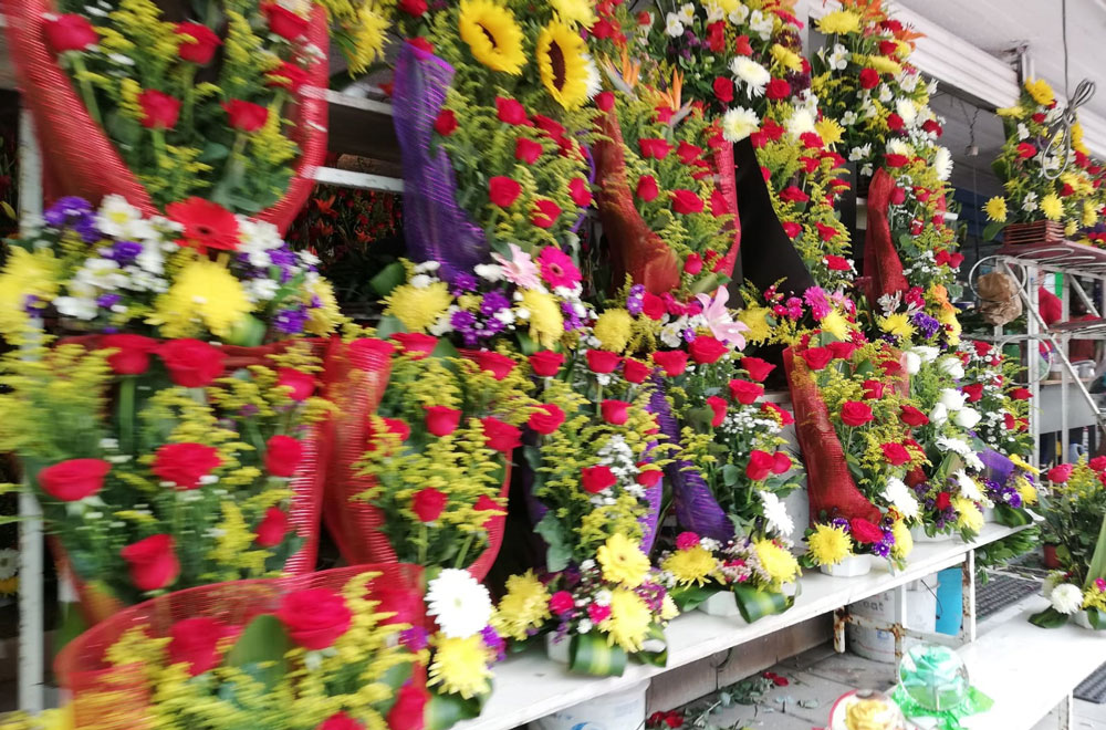 flores_veracruz