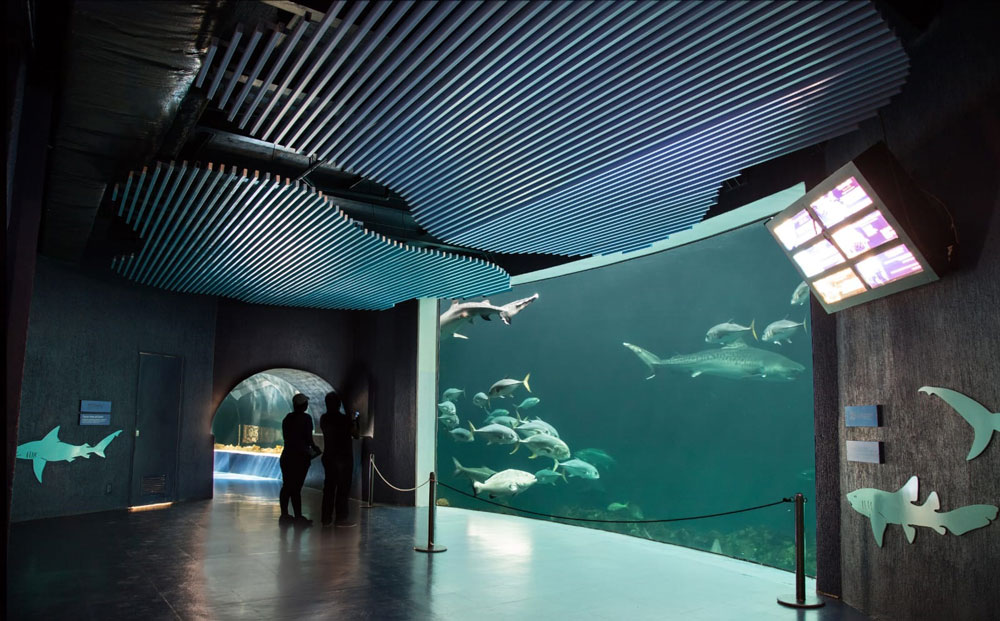 acuario_veracruz