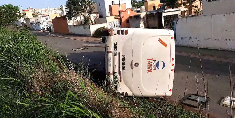 tejeria_2