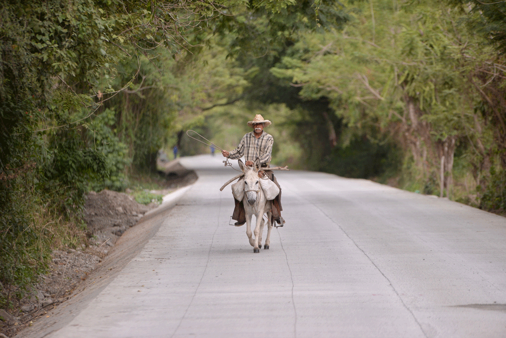 carretera_obras_ver