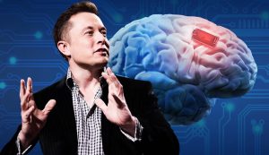elon