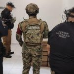 FGR asegura 700 kilos de marihuana en Tuxpan