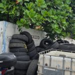 Vecinos del centro de Veracruz exigen retiro de criaderos de mosquitos