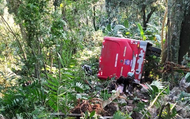 617110486_1336935301784030_124548751357885286_n