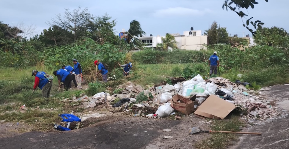 6c5824e5-9ad8-4bcc-b181-bececb496968