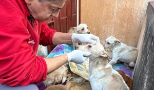 ba7c03de-9f32-43f7-ac34-400cb54833ac