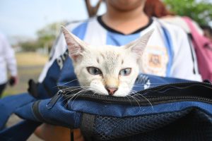 7fa33957-b009-4f8a-aa76-692681a4417a