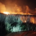 Protección civil de Medellín controla incendio de pastizal en la localidad la gloria