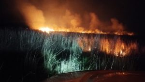 9c8f4f51-fb10-4140-9855-01de57961740