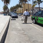 Ayuntamiento de Veracruz garantiza libre estacionamiento en zona turística durante Semana Santa 2026