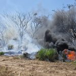 Bomberos y PC municipal de Veracruz atienden incendio de pastizal en zona poniente de la ciudad