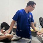 Impulsa Ayuntamiento de Medellín de Bravo jornada de vacunación y consulta veterinaria gratuita en Puente Moreno