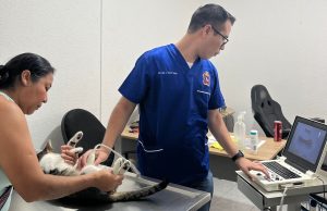 c970e691-4f13-4c21-b1b7-a98581cee397