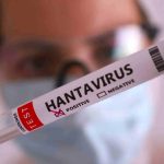 México emite alerta epidemiológica por brote de hantavirus: ¿Cuáles son las medidas?
