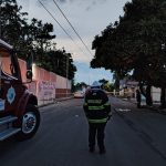 Atienden Bomberos municipales de Veracruz ataque de abejas; solicitan apoyo para localizar a familiares de un lesionado