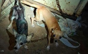 b33d9cd9-fc67-4801-858e-f08b85b5172a