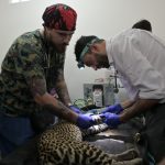Fortalece Ayuntamiento de Veracruz el cuidado de los animales del Parque Miguel Ángel de Quevedo