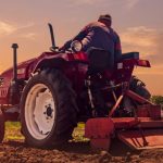 Impulsa Rosa María acciones en beneficio del sector rural