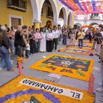 Preserva Rosa María tradiciones mexicanas con exhibición de altares y tapetes en Veracruz